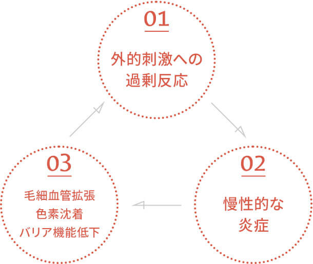 01外的刺激への過剰反応_02慢性的な炎症_03毛細血管拡張・色素沈着・バリア機能低下